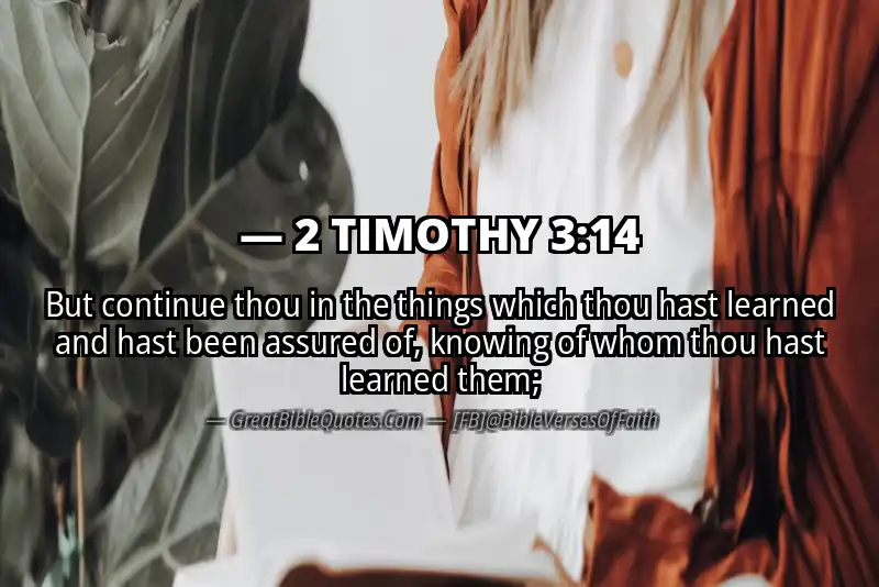 Bible verse: 2 TIMOTHY 3:14 Image