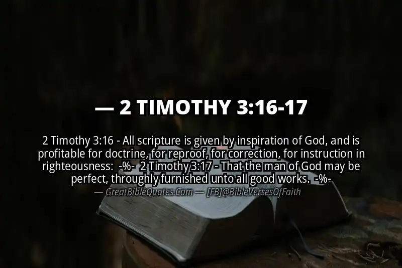 Image for 2 TIMOTHY 3:16-17 Bible verse