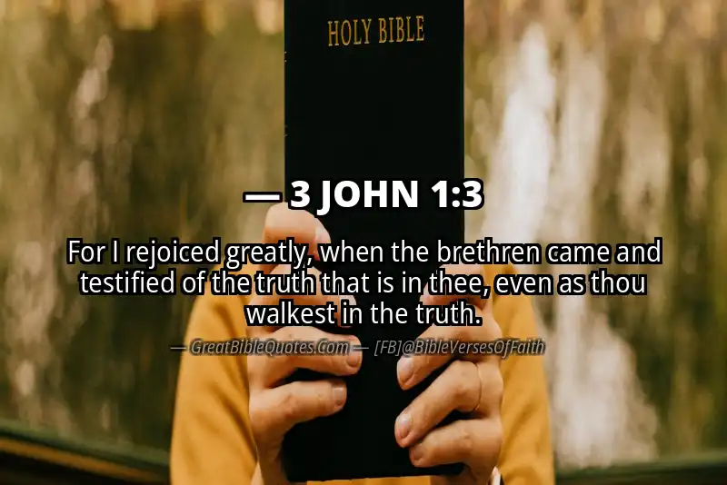 Bible verse: 3 JOHN 1:3 Image