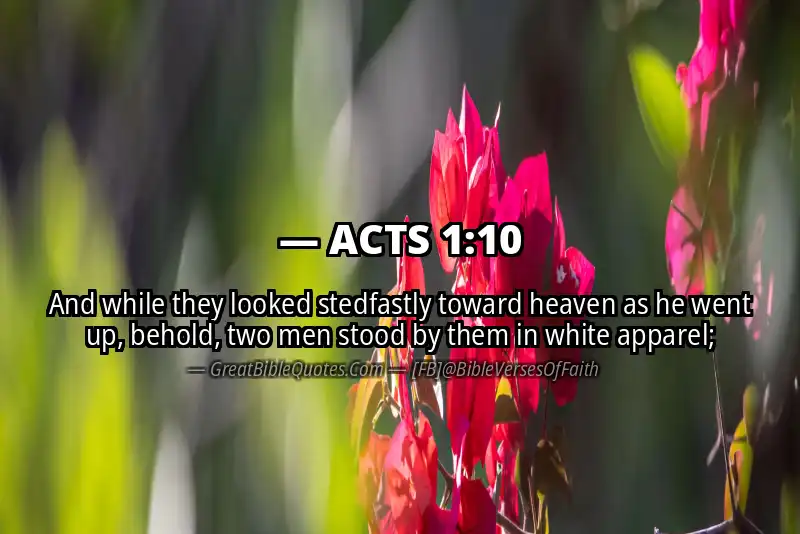 Bible verse: ACTS 1:10 Image