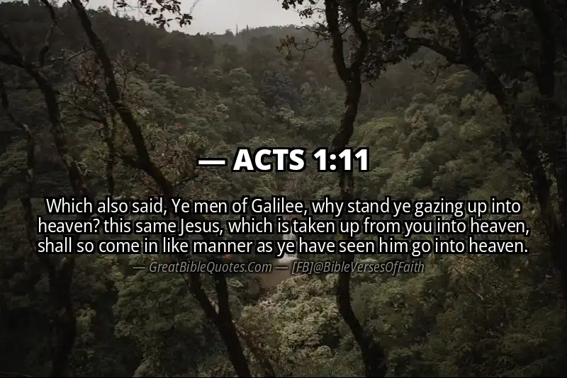 ACTS 1:11 Verse Image