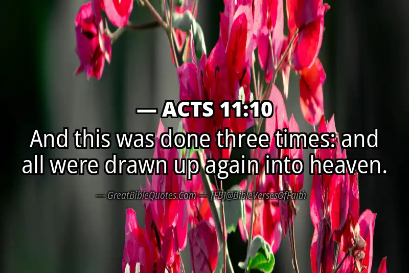 ACTS 11:10 Verse