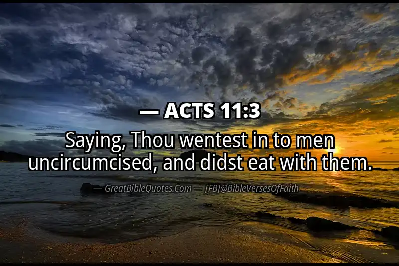 ACTS 11:3 Verse