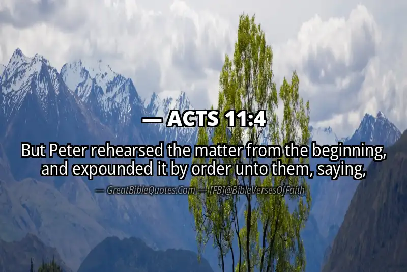 ACTS 11:4 Verse
