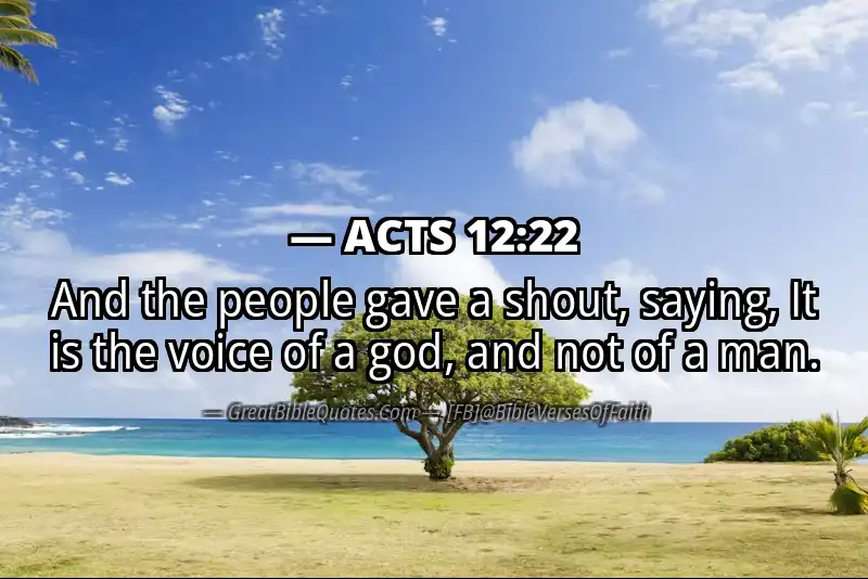 ACTS 12:22 Verse