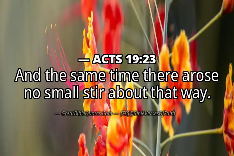ACTS 19:23 Verse