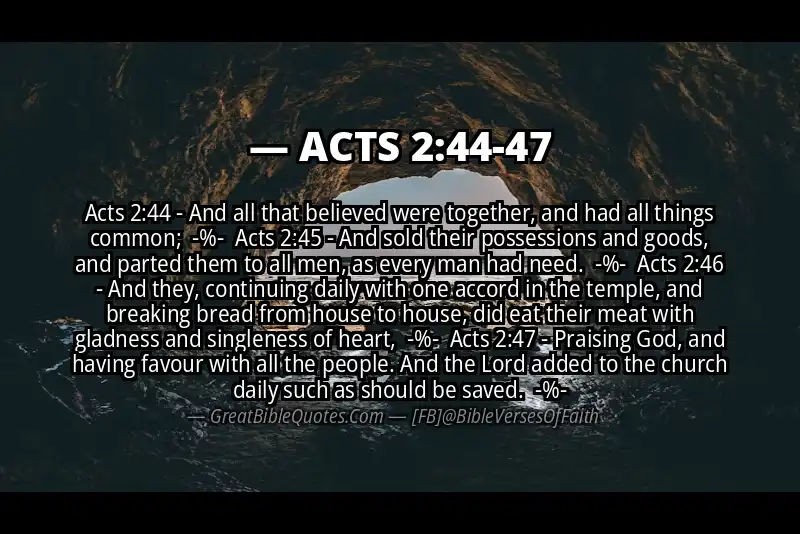 Image for ACTS 2:44-47 Bible verse