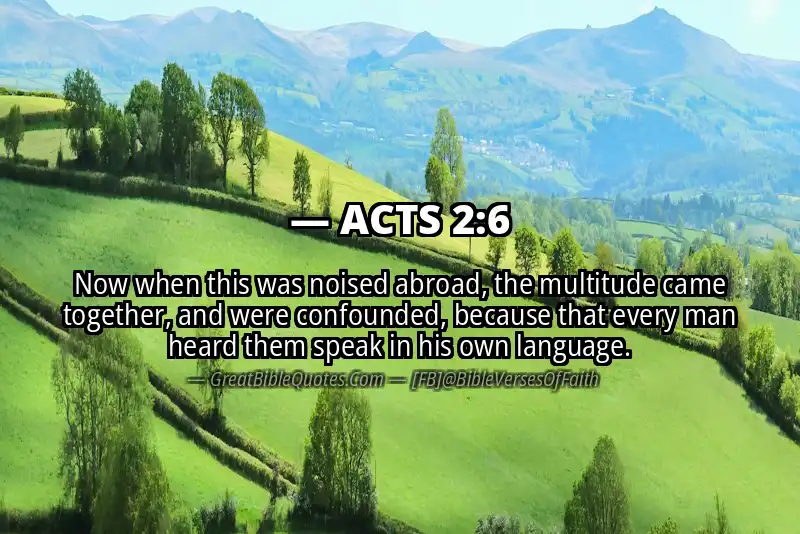 ACTS 2:6 Verse