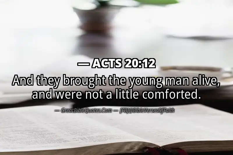ACTS 20:12 Verse