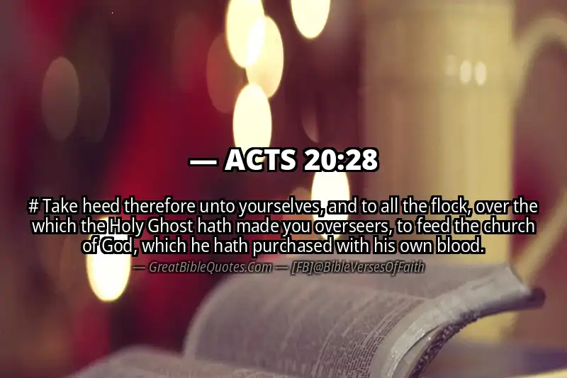 ACTS 20:28 Verse