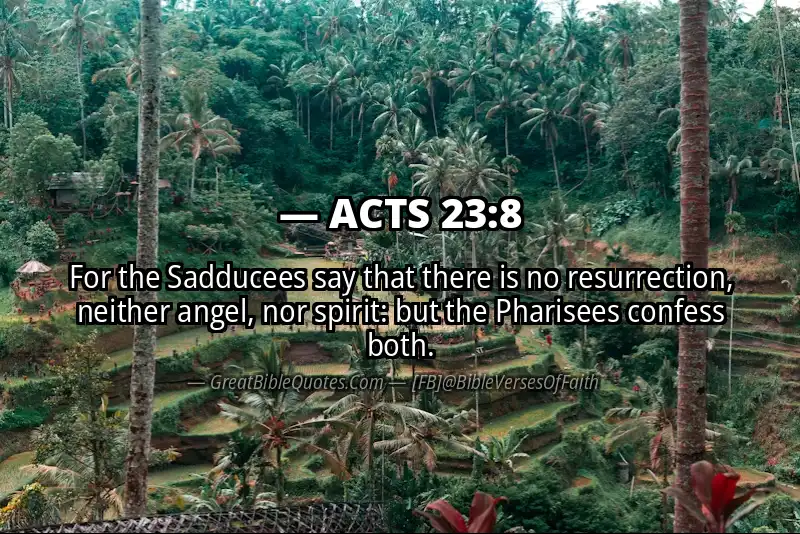 ACTS 23:8 Verse
