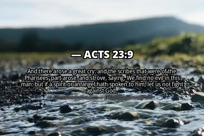 ACTS 23:9 Verse