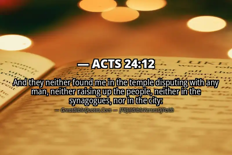 ACTS 24:12 Verse