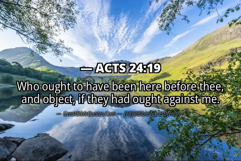 ACTS 24:19 Verse