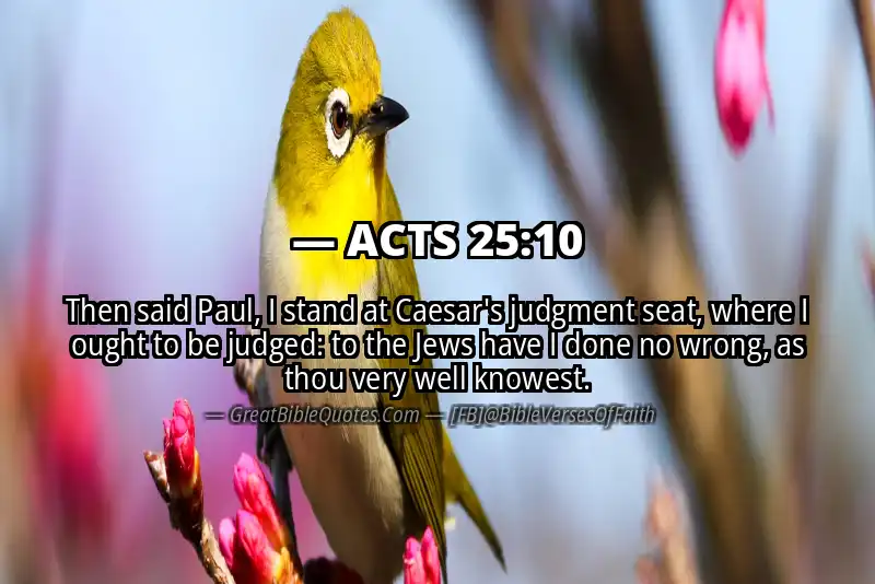 Bible verse: ACTS 25:10 Image