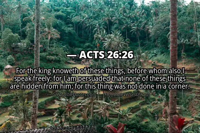 Bible verse: ACTS 26:26 Image