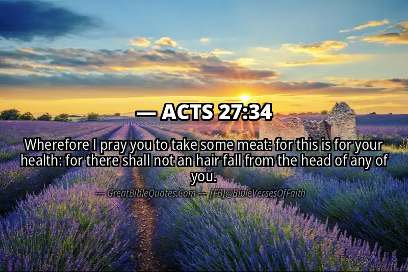Bible verse: ACTS 27:34 Image