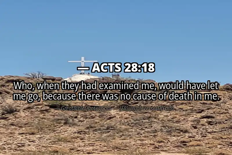 Bible verse: ACTS 28:18 Image