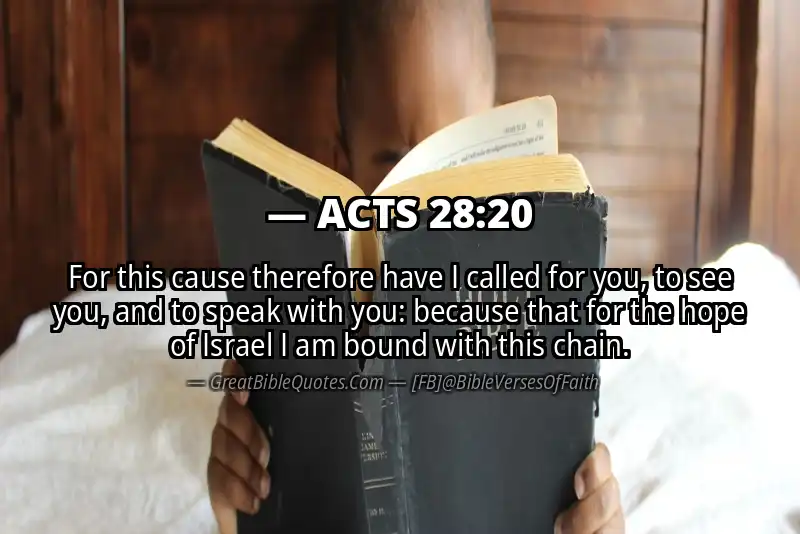 ACTS 28:20 Verse Image