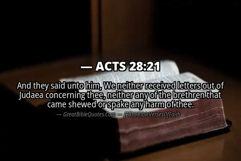 Bible verse: ACTS 28:21 Image