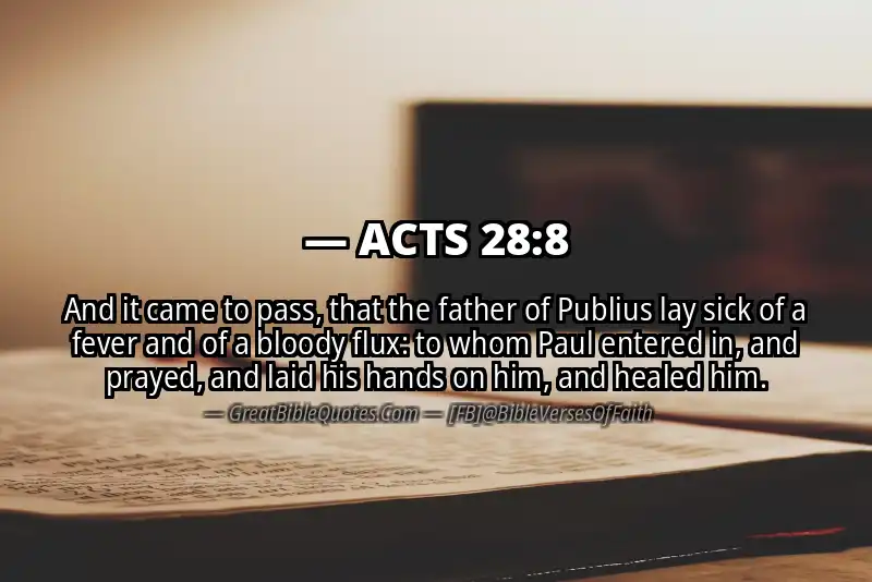 Bible verse: ACTS 28:8 Image