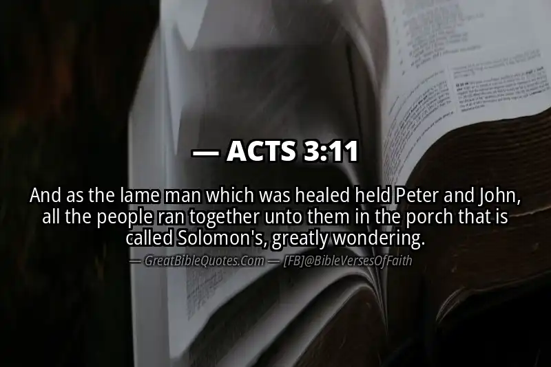 Bible verse: ACTS 3:11 Image