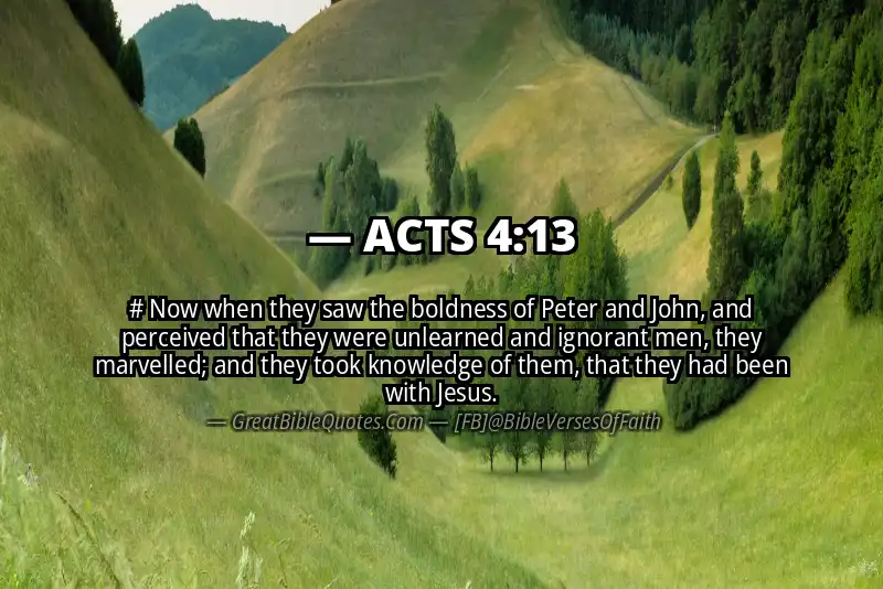 Bible verse: ACTS 4:13 Image