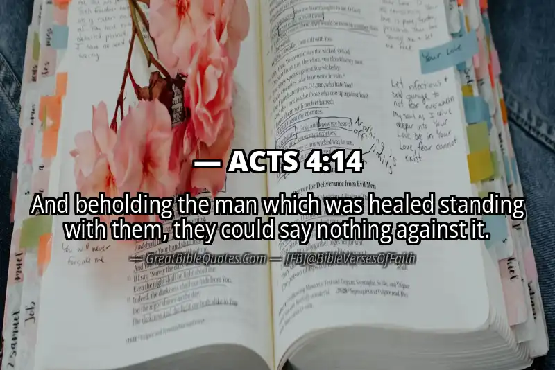 ACTS 4:14 Verse