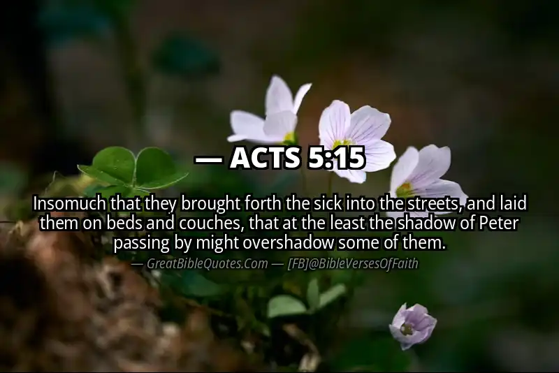 Bible verse: ACTS 5:15 Image