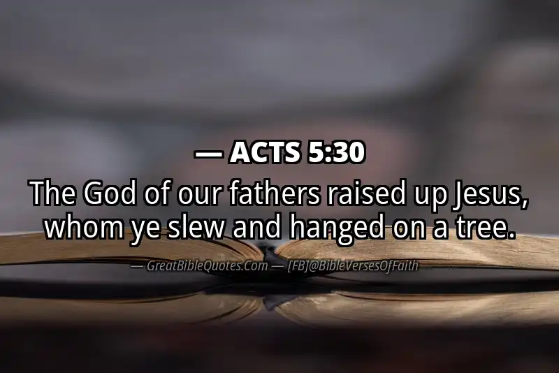 ACTS 5:30 Verse