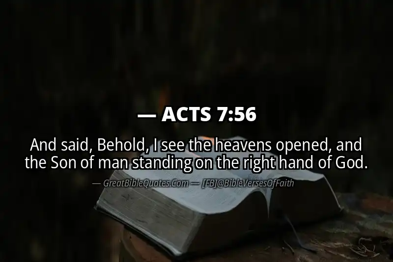 ACTS 7:56 Verse