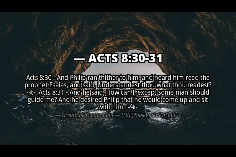 Image for ACTS 8:30-31 Bible verse