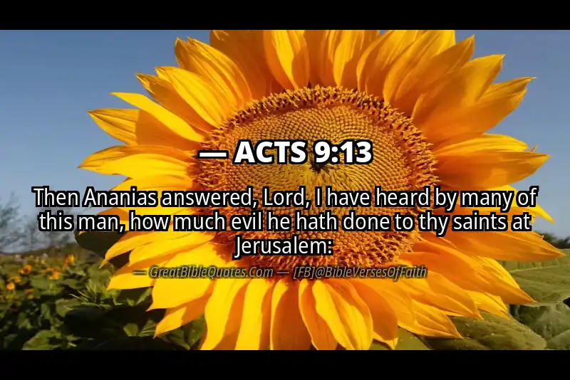 ACTS 9:13 Verse