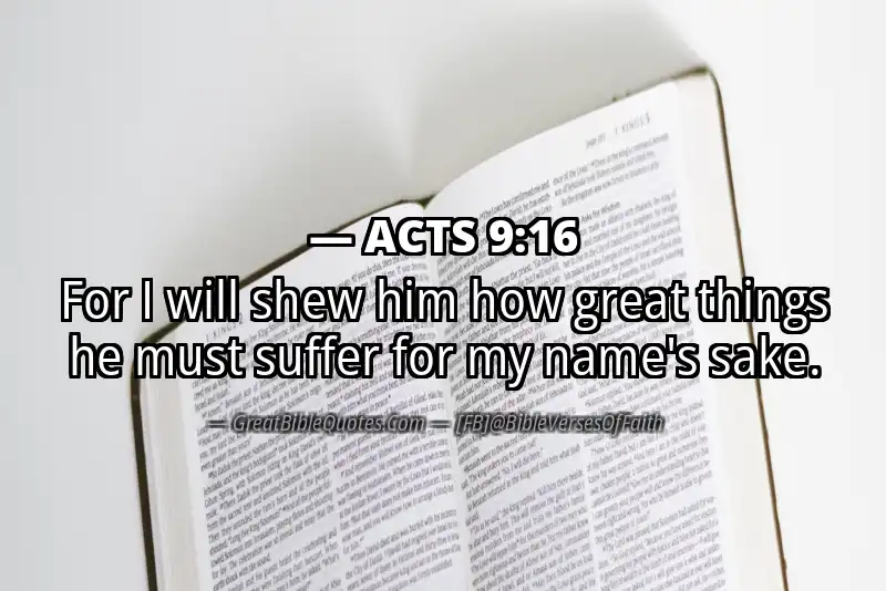 Image for ACTS 9:16 Bible verse