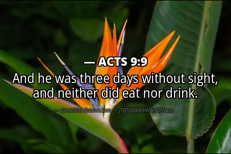 ACTS 9:9 Verse