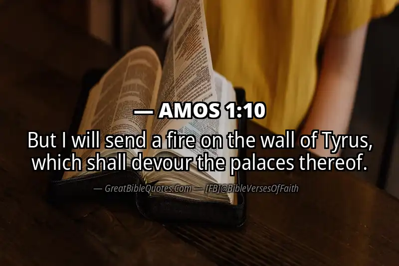 Bible verse: AMOS 1:10 Image