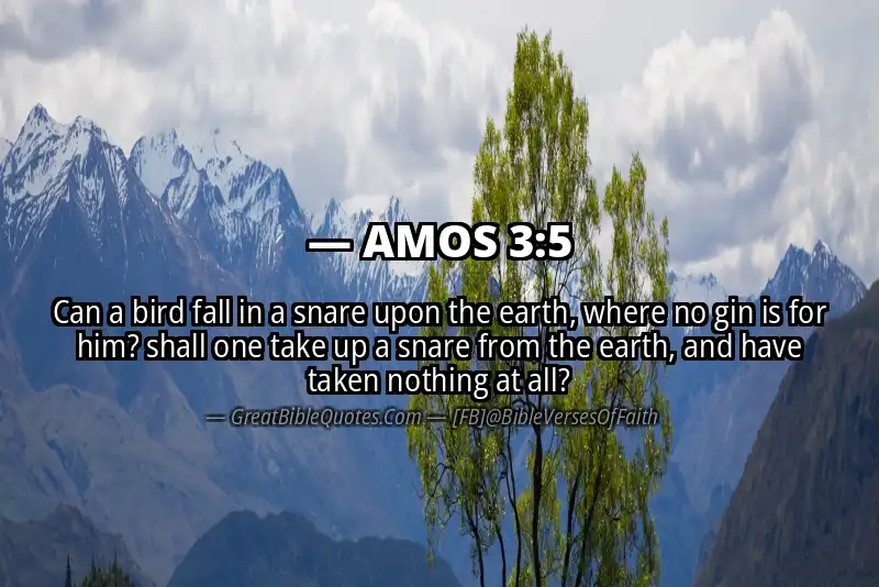 AMOS 3:5 Verse Image