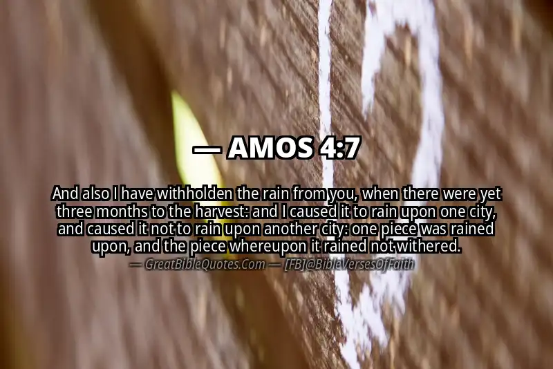 Bible verse: AMOS 4:7 Image