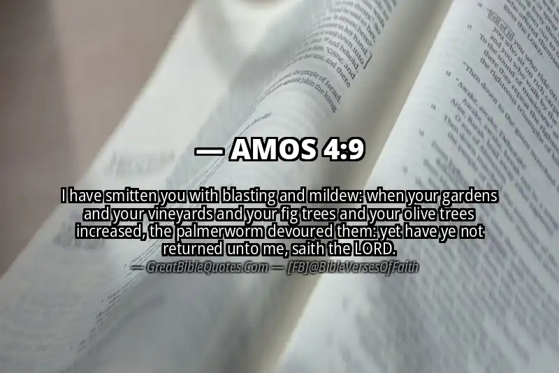 AMOS 4:9 Verse