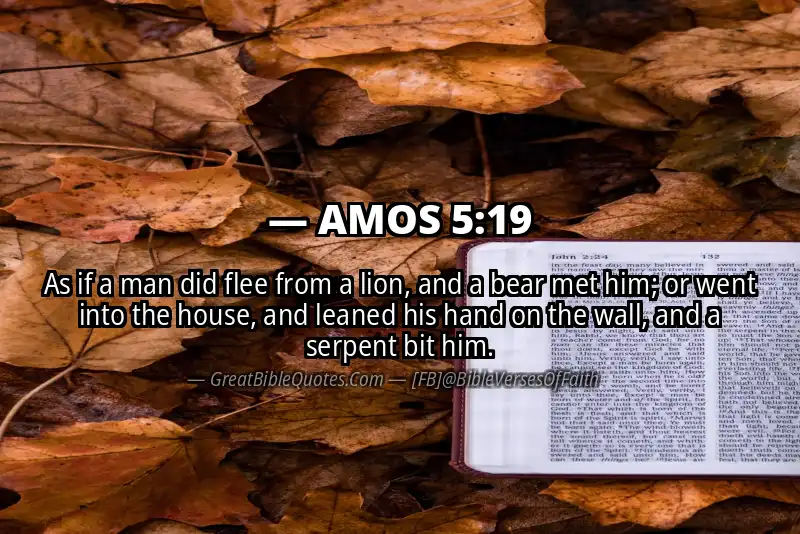AMOS 5:19 Verse