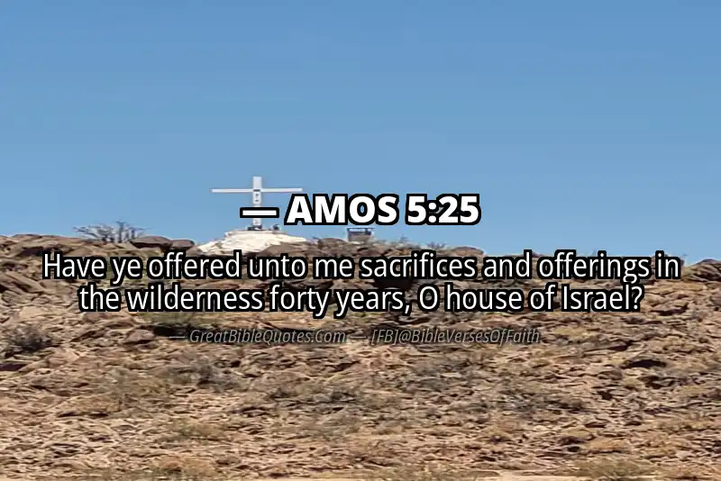 Bible verse: AMOS 5:25 Image