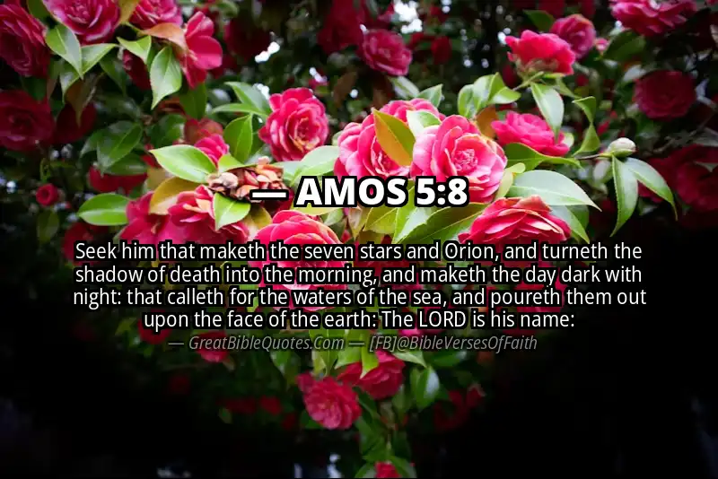 Bible verse: AMOS 5:8 Image