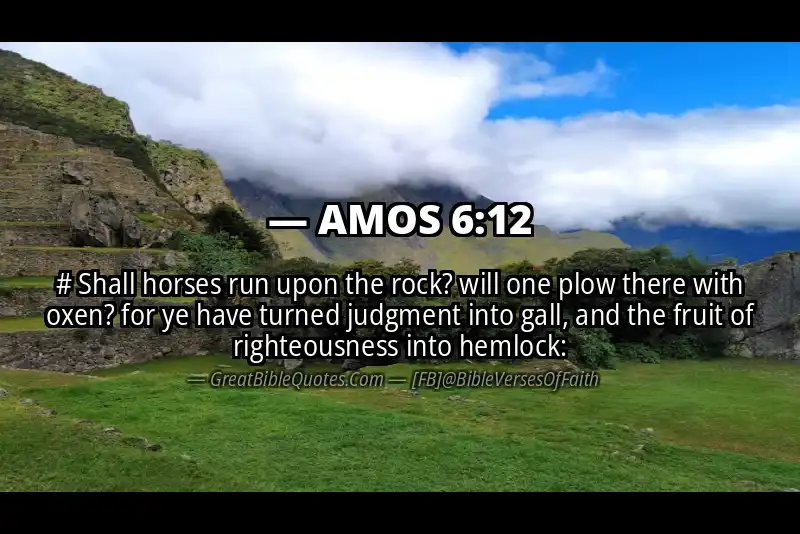 Bible verse: AMOS 6:12 Image