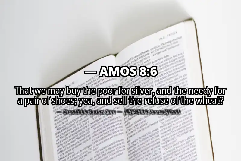 AMOS 8:6 Verse Image