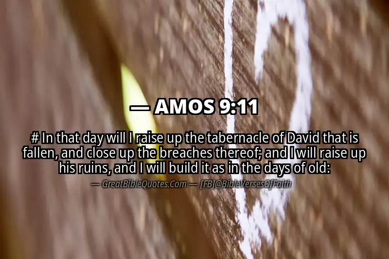 Bible verse: AMOS 9:11 Image