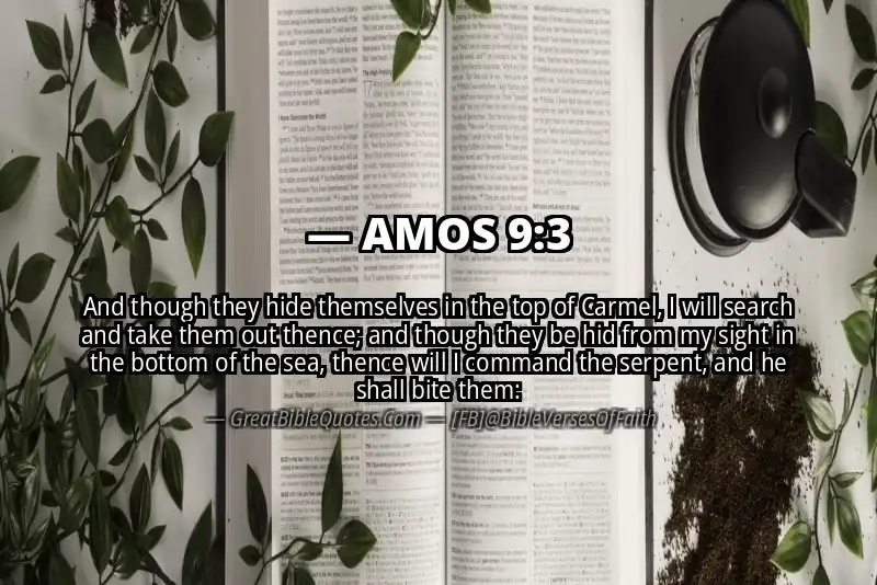 Bible verse: AMOS 9:3 Image