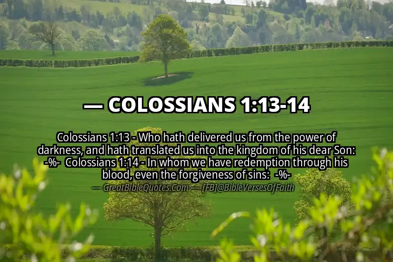 Image for COLOSSIANS 1:13-14 Bible verse