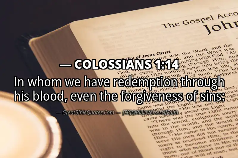 COLOSSIANS 1:14 Verse