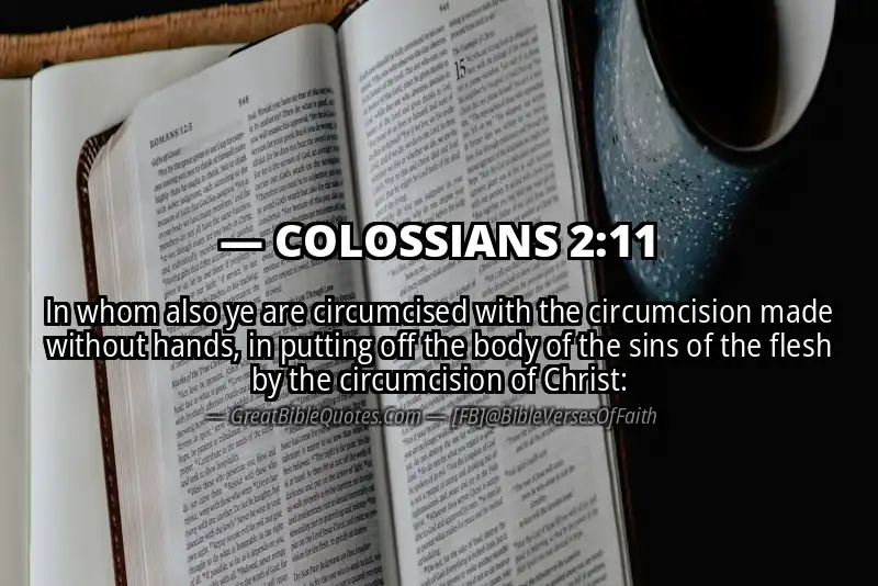 COLOSSIANS 2:11 Verse