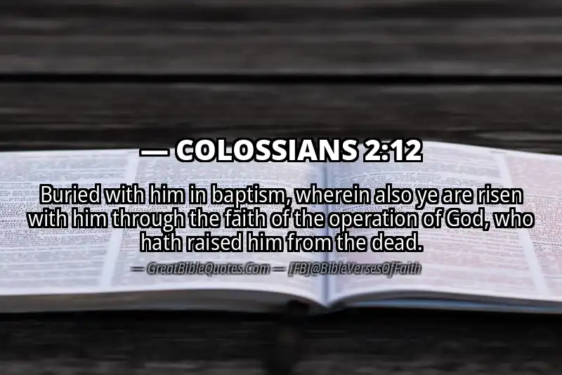 COLOSSIANS 2:12 Verse